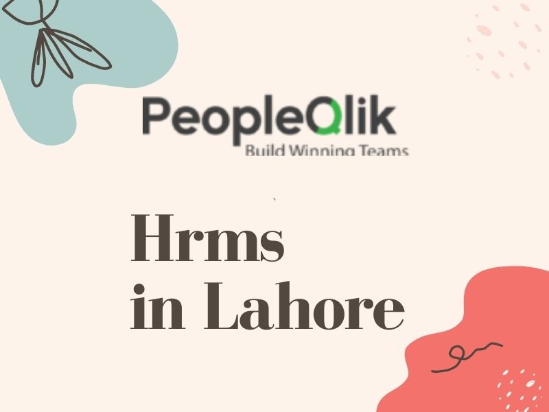 HRMS in Lahore : Why your company Needs Automated Reports